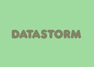 Datastorm 2014 Invitation - Logo
