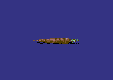 Bunny - Carrot