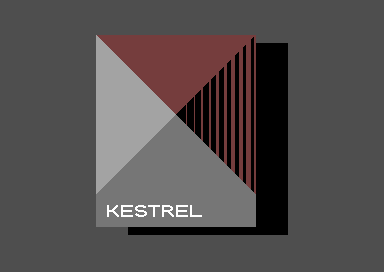 Fly Bird Fly - Kestrel