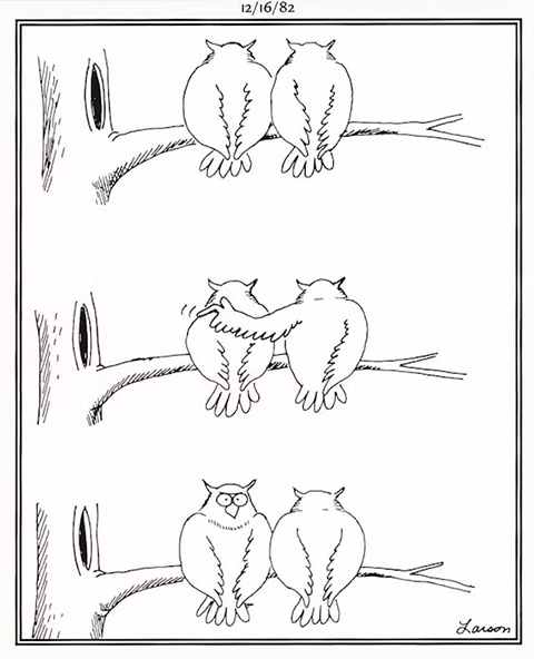 references